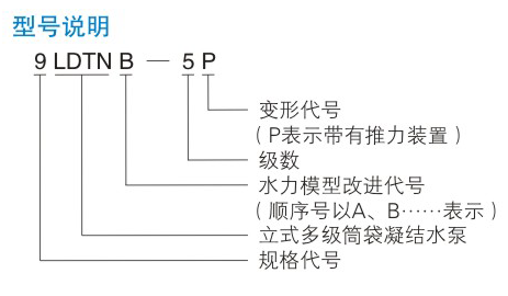 LDTN型凝結(jié)水泵型號(hào)說(shuō)明